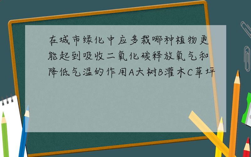 在城市绿化中应多栽哪种植物更能起到吸收二氧化碳释放氧气和降低气温的作用A大树B灌木C草坪