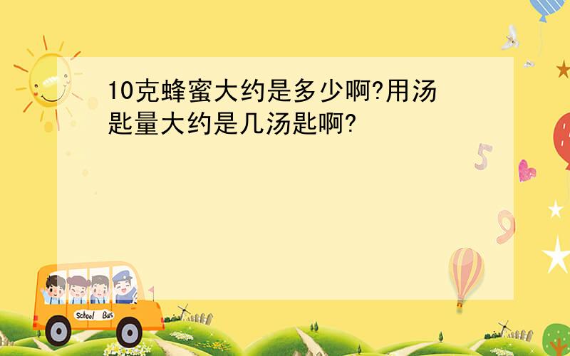 10克蜂蜜大约是多少啊?用汤匙量大约是几汤匙啊?