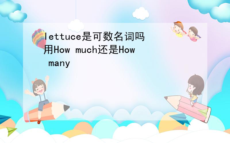 lettuce是可数名词吗 用How much还是How many