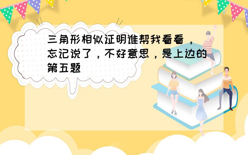 三角形相似证明谁帮我看看 ,忘记说了，不好意思，是上边的第五题