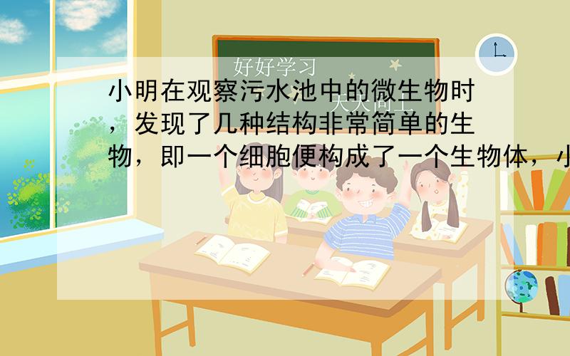 小明在观察污水池中的微生物时，发现了几种结构非常简单的生物，即一个细胞便构成了一个生物体，小明不知道它们是动物还是植物．