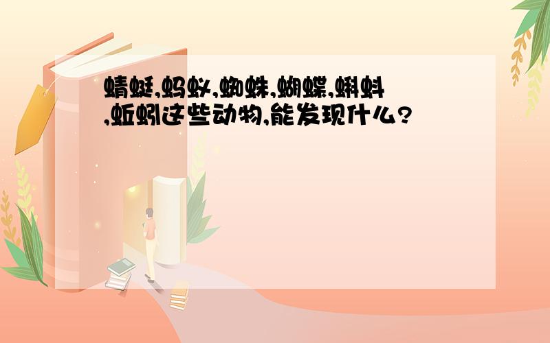 蜻蜓,蚂蚁,蜘蛛,蝴蝶,蝌蚪,蚯蚓这些动物,能发现什么?