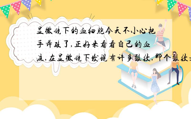 显微镜下的血细胞今天不小心把手弄破了,正好来看看自己的血液,在显微镜下发现有许多裂纹,那个裂纹是什么?还有一些半透明的圆