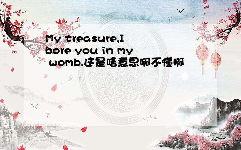 My treasure,I bore you in my womb.这是啥意思啊不懂啊