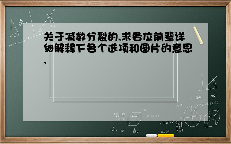 关于减数分裂的,求各位前辈详细解释下各个选项和图片的意思,