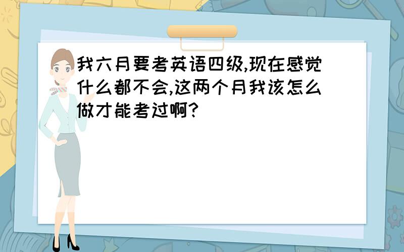 我六月要考英语四级,现在感觉什么都不会,这两个月我该怎么做才能考过啊?