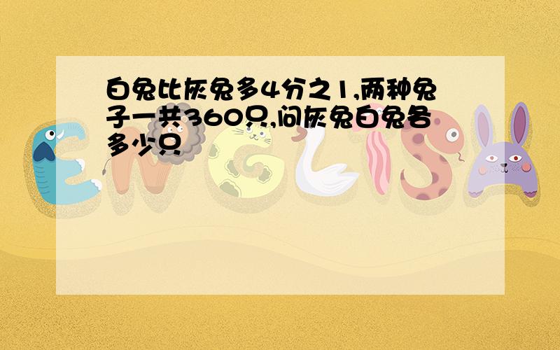 白兔比灰兔多4分之1,两种兔子一共360只,问灰兔白兔各多少只