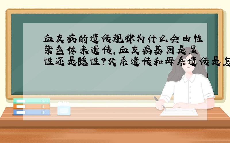 血友病的遗传规律为什么会由性染色体来遗传,血友病基因是显性还是隐性?父系遗传和母系遗传是怎么回事?麻烦讲的详细一些