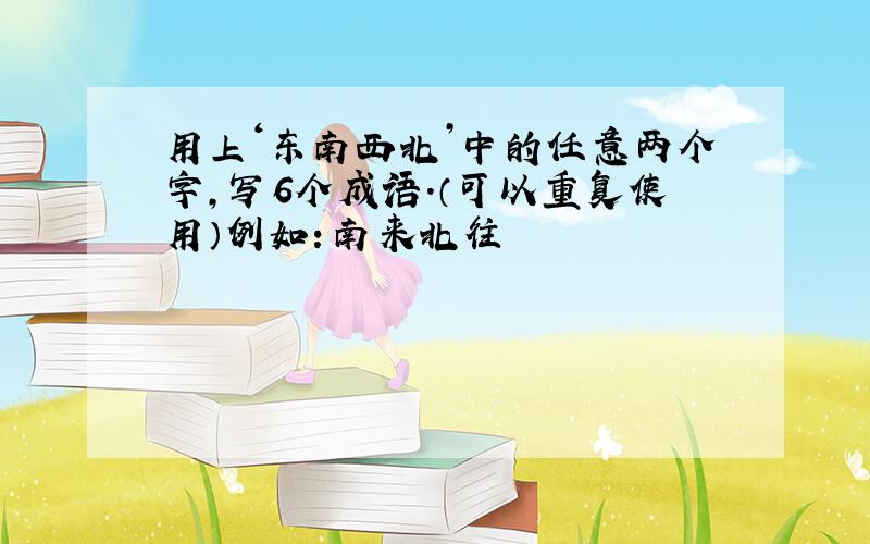 用上‘东南西北’中的任意两个字,写6个成语.（可以重复使用）例如：南来北往