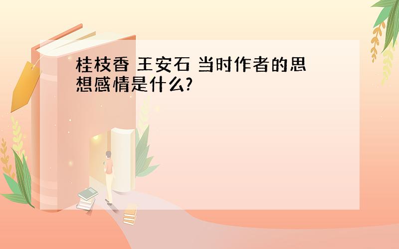 桂枝香 王安石 当时作者的思想感情是什么?