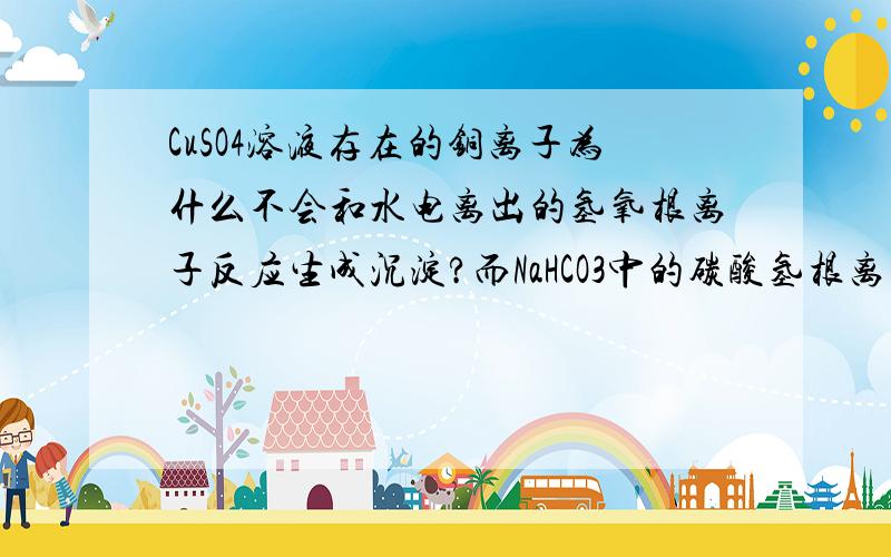 CuSO4溶液存在的铜离子为什么不会和水电离出的氢氧根离子反应生成沉淀?而NaHCO3中的碳酸氢根离又可以和溶液中的氢离