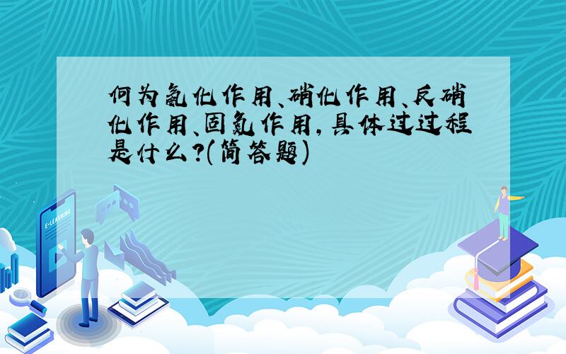 何为氨化作用、硝化作用、反硝化作用、固氮作用,具体过过程是什么?(简答题)