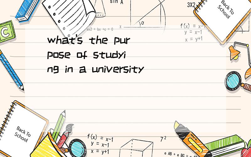 what's the purpose of studying in a university