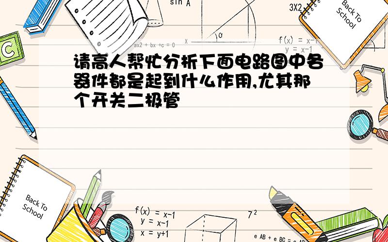 请高人帮忙分析下面电路图中各器件都是起到什么作用,尤其那个开关二极管