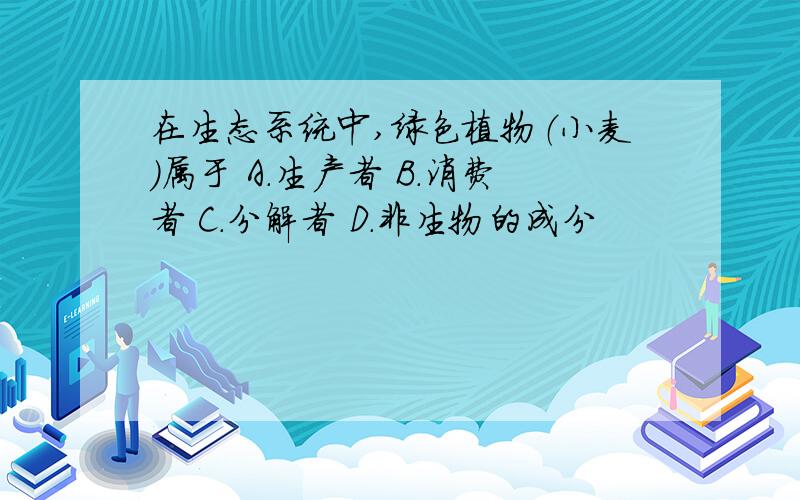 在生态系统中,绿色植物（小麦）属于 A．生产者 B．消费者 C．分解者 D．非生物的成分