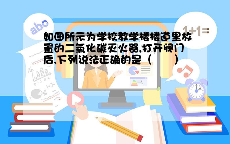 如图所示为学校教学楼楼道里放置的二氧化碳灭火器,打开阀门后,下列说法正确的是（　　）