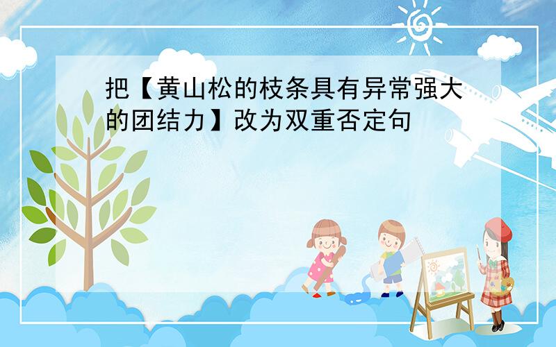 把【黄山松的枝条具有异常强大的团结力】改为双重否定句