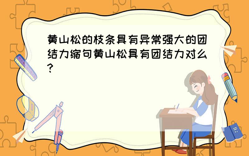 黄山松的枝条具有异常强大的团结力缩句黄山松具有团结力对么?