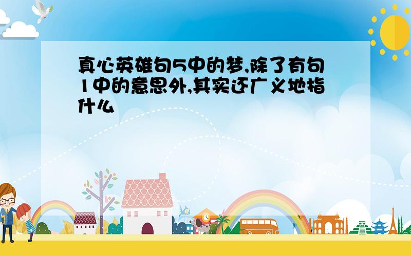 真心英雄句5中的梦,除了有句1中的意思外,其实还广义地指什么