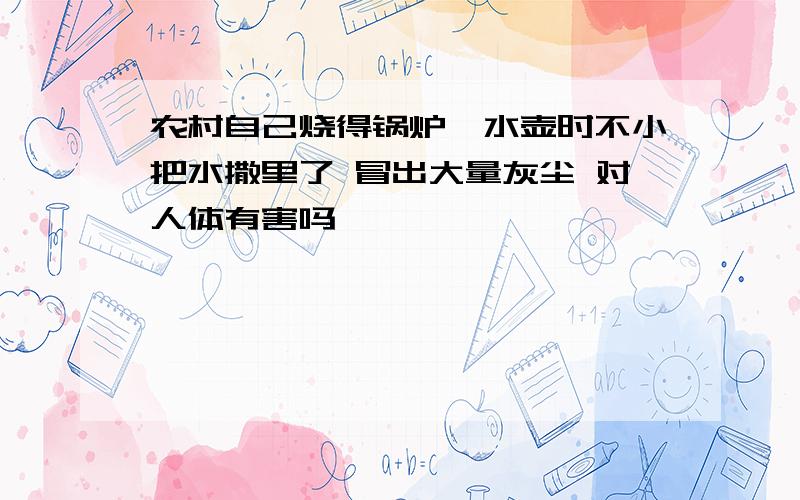 农村自己烧得锅炉拎水壶时不小把水撒里了 冒出大量灰尘 对人体有害吗