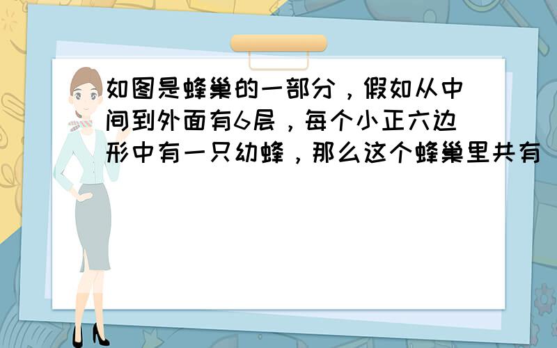 如图是蜂巢的一部分，假如从中间到外面有6层，每个小正六边形中有一只幼蜂，那么这个蜂巢里共有______ 只幼蜂