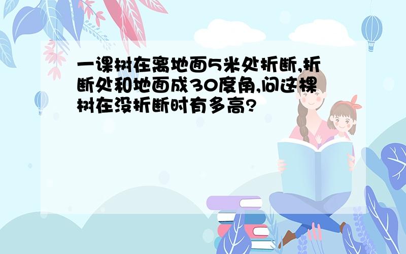 一课树在离地面5米处折断,折断处和地面成30度角,问这棵树在没折断时有多高?