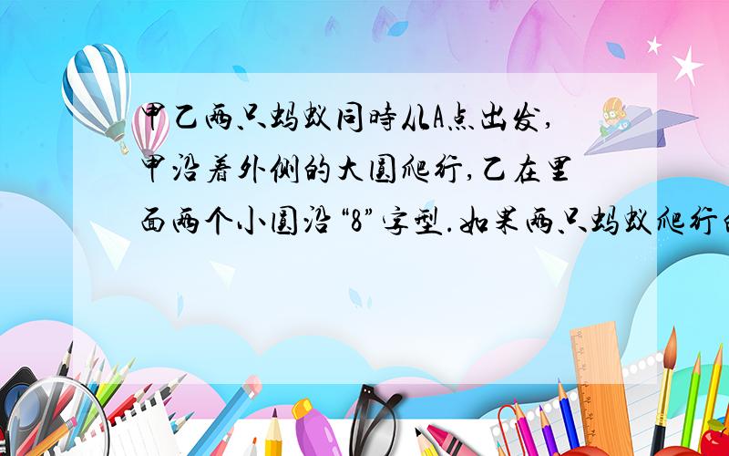 甲乙两只蚂蚁同时从A点出发,甲沿着外侧的大圆爬行,乙在里面两个小圆沿“8”字型.如果两只蚂蚁爬行的速度相同,问：是甲先回