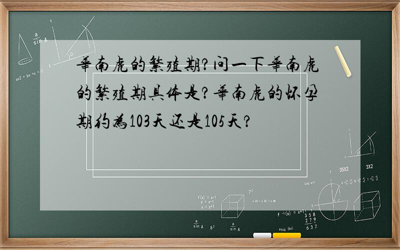 华南虎的繁殖期?问一下华南虎的繁殖期具体是?华南虎的怀孕期约为103天还是105天?