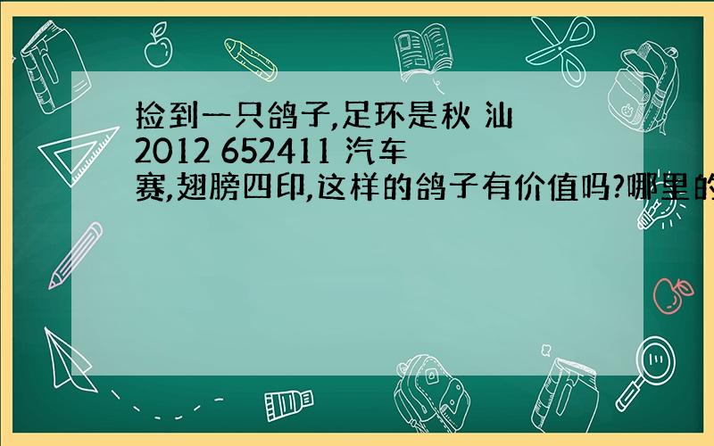 捡到一只鸽子,足环是秋 汕 2012 652411 汽车赛,翅膀四印,这样的鸽子有价值吗?哪里的鸽子.急