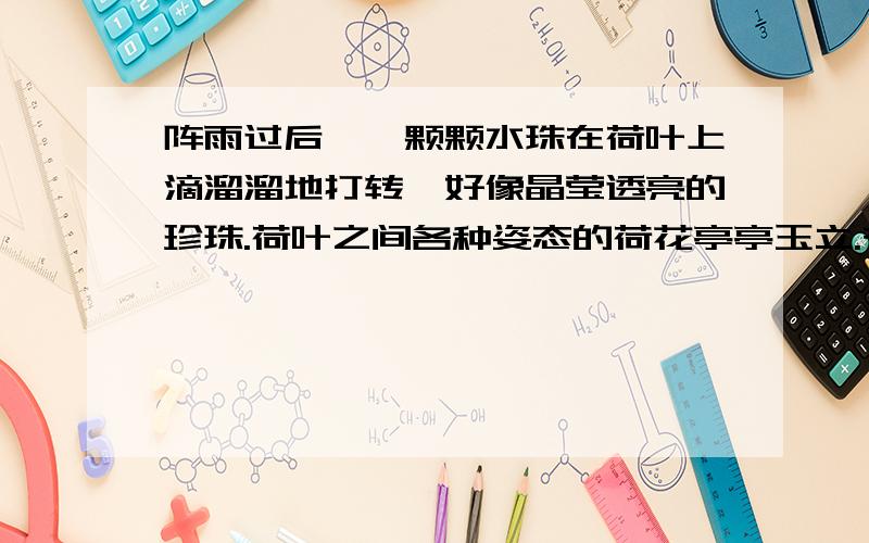 阵雨过后,一颗颗水珠在荷叶上滴溜溜地打转,好像晶莹透亮的珍珠.荷叶之间各种姿态的荷花亭亭玉立.有的还只是小花苞,尖儿红红