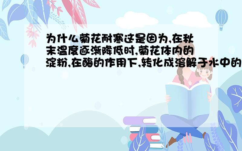 为什么菊花耐寒这是因为,在秋末温度逐渐降低时,菊花体内的淀粉,在酶的作用下,转化成溶解于水中的单糖,细胞液的浓度增加了,