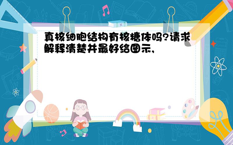 真核细胞结构有核糖体吗?请求解释清楚并最好给图示,