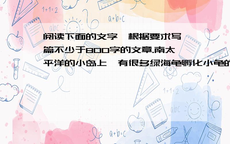 阅读下面的文字,根据要求写一篇不少于800字的文章.南太平洋的小岛上,有很多绿海龟孵化小龟的沙