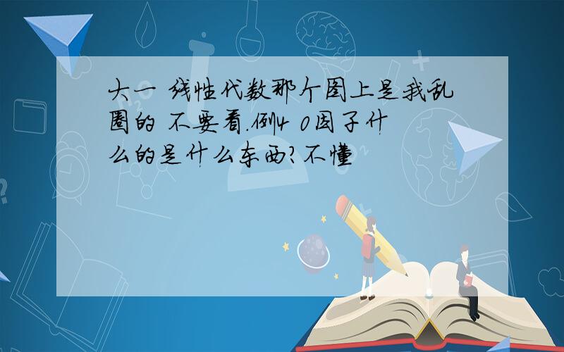 大一 线性代数那个图上是我乱圈的 不要看.例4 0因子什么的是什么东西?不懂