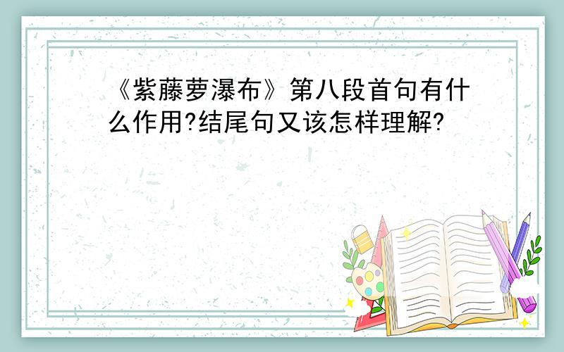 《紫藤萝瀑布》第八段首句有什么作用?结尾句又该怎样理解?