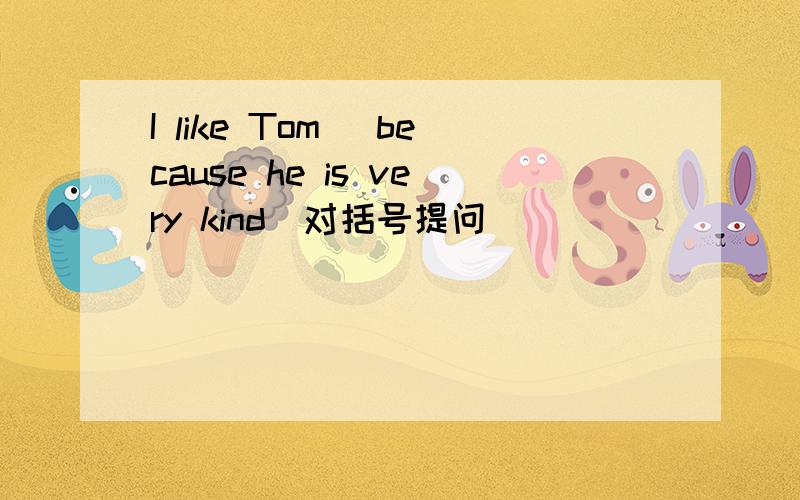 I like Tom （because he is very kind）对括号提问