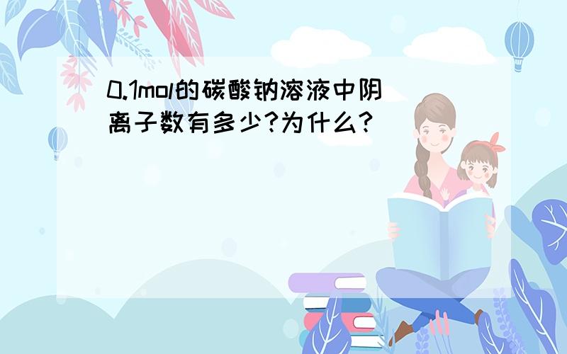 0.1mol的碳酸钠溶液中阴离子数有多少?为什么?