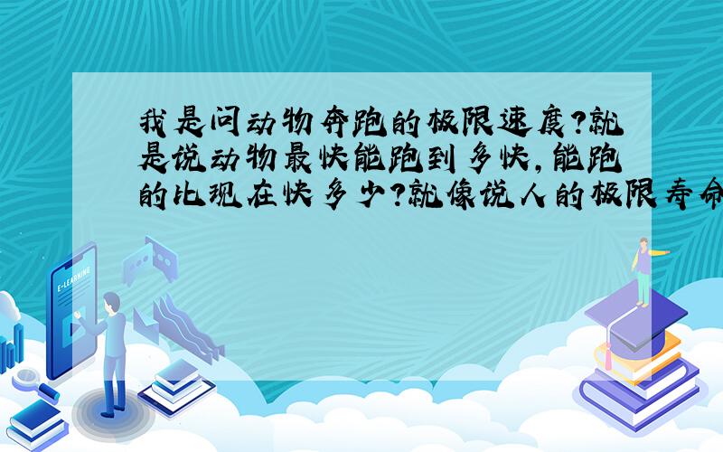 我是问动物奔跑的极限速度?就是说动物最快能跑到多快,能跑的比现在快多少?就像说人的极限寿命是150、60岁那样,人能活了