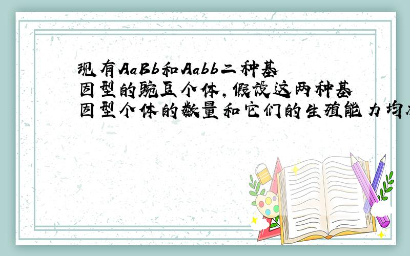 现有AaBb和Aabb二种基因型的豌豆个体，假设这两种基因型个体的数量和它们的生殖能力均相同，在自然状态下，子一代中能稳