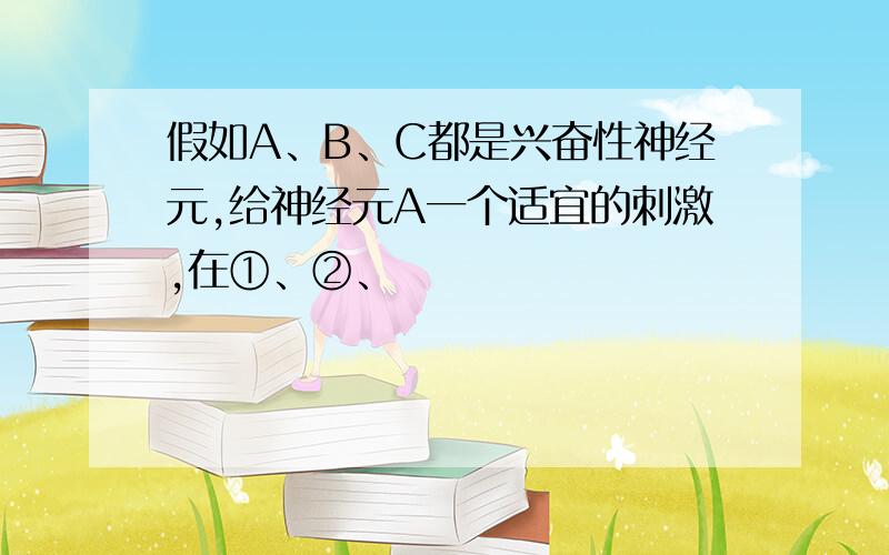 假如A、B、C都是兴奋性神经元,给神经元A一个适宜的刺激,在①、②、