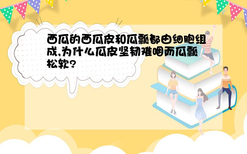 西瓜的西瓜皮和瓜瓢都由细胞组成,为什么瓜皮坚韧难咽而瓜瓢松软?