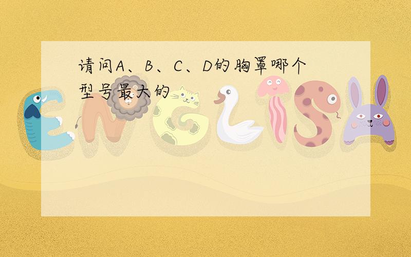 请问A、B、C、D的胸罩哪个型号最大的