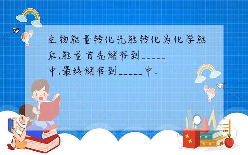 生物能量转化光能转化为化学能后,能量首先储存到_____中,最终储存到_____中.