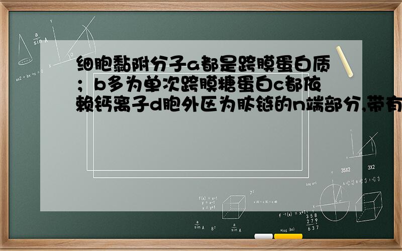 细胞黏附分子a都是跨膜蛋白质；b多为单次跨膜糖蛋白c都依赖钙离子d胞外区为肽链的n端部分,带有糖链,负责与配体的识别e胞