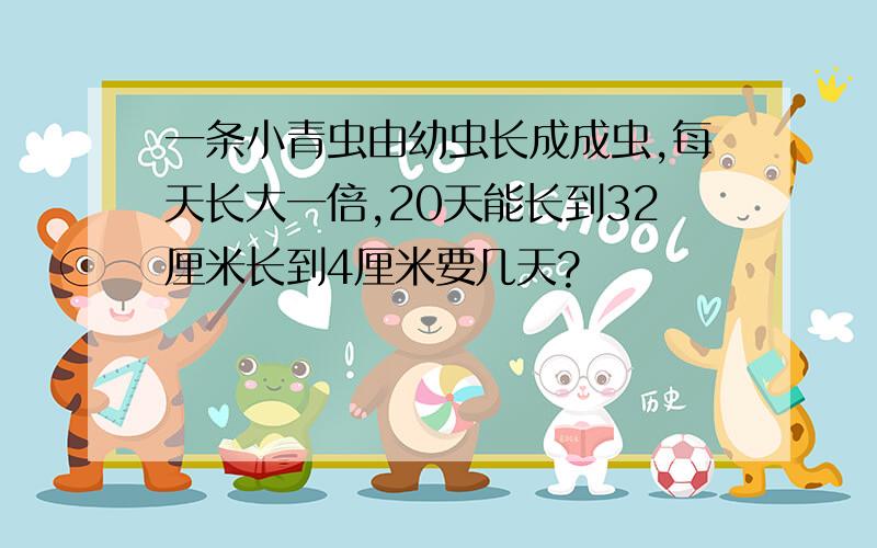 一条小青虫由幼虫长成成虫,每天长大一倍,20天能长到32厘米长到4厘米要几天?