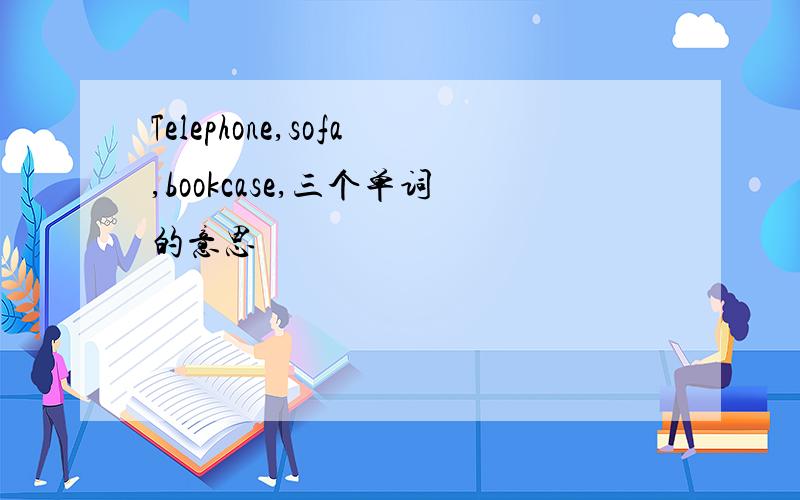 Telephone,sofa,bookcase,三个单词的意思