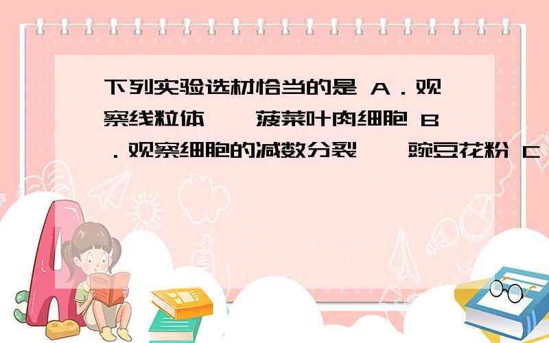 下列实验选材恰当的是 A．观察线粒体——菠菜叶肉细胞 B．观察细胞的减数分裂——豌豆花粉 C．低温诱导染色