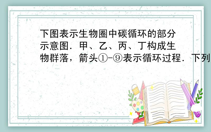 下图表示生物圈中碳循环的部分示意图．甲、乙、丙、丁构成生物群落，箭头①-⑨表示循环过程．下列有关说法正确的是（　　）