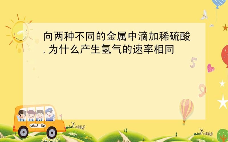 向两种不同的金属中滴加稀硫酸,为什么产生氢气的速率相同