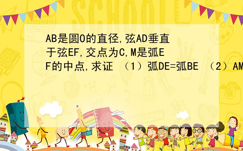 AB是圆O的直径,弦AD垂直于弦EF,交点为C,M是弧EF的中点,求证 （1）弧DE=弧BE （2）AM平分∠BAD